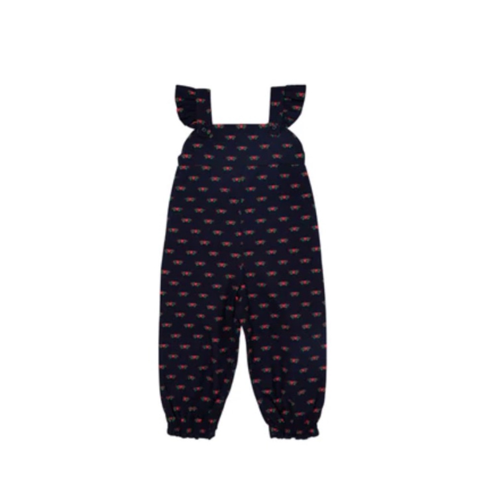 NWT Violet’s Vintage Overalls